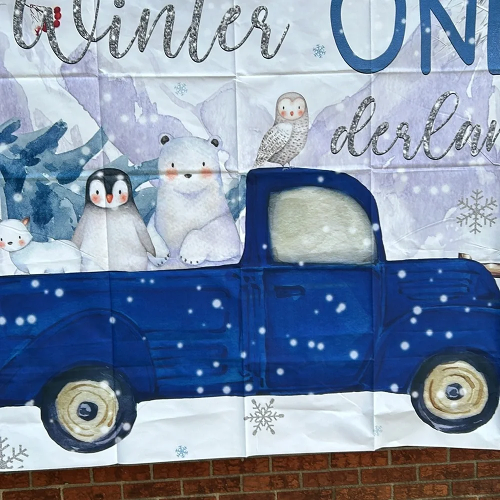 Winter one derland, backdrop, birthday, blue, and white, 5 x 6, New